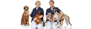 Veterinär Ängelholm